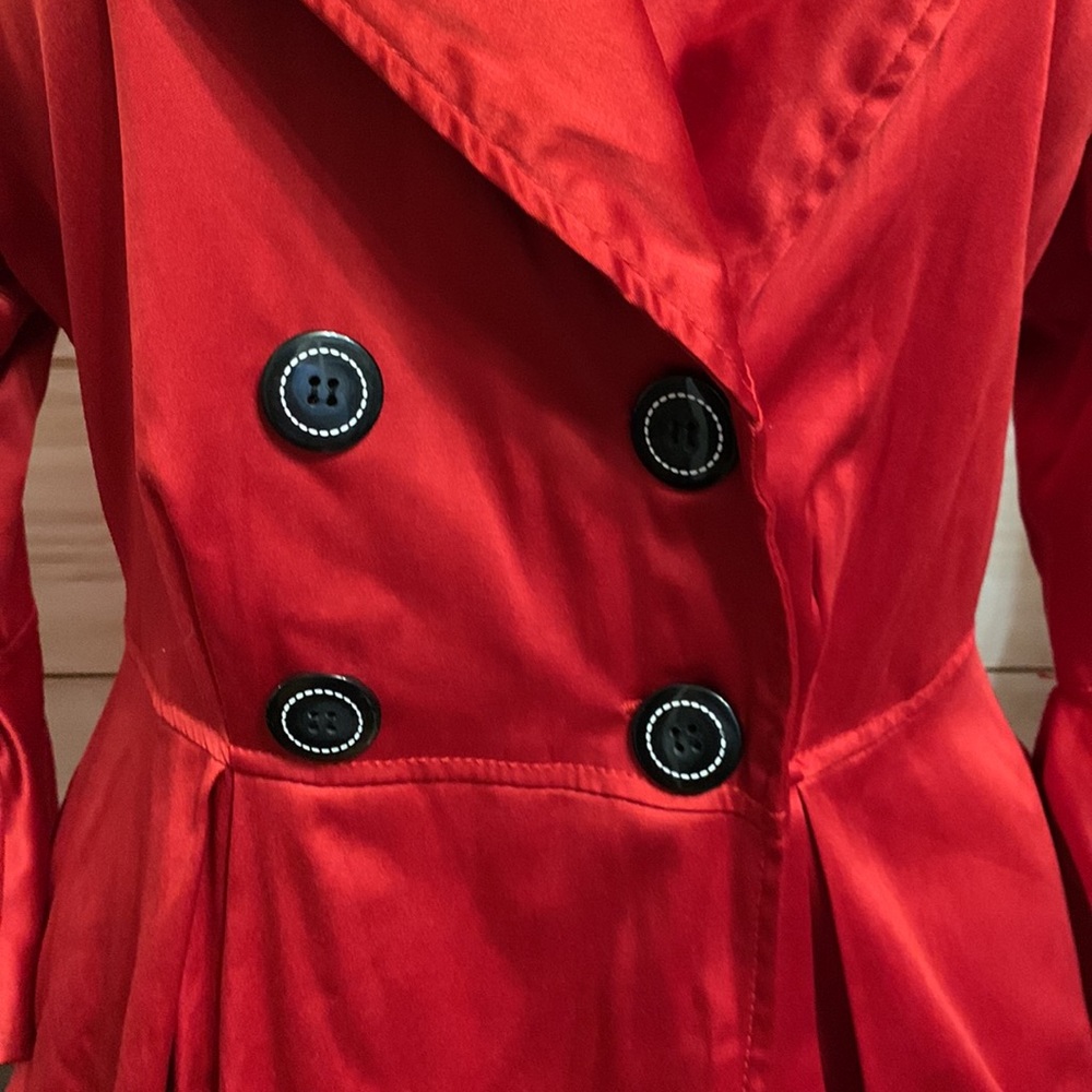 Beautiful Statement Jacket - image 4